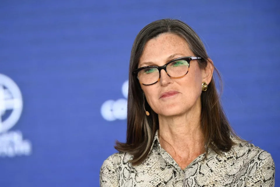 Cathie Wood makes bold $173 million bet on surging AI stock